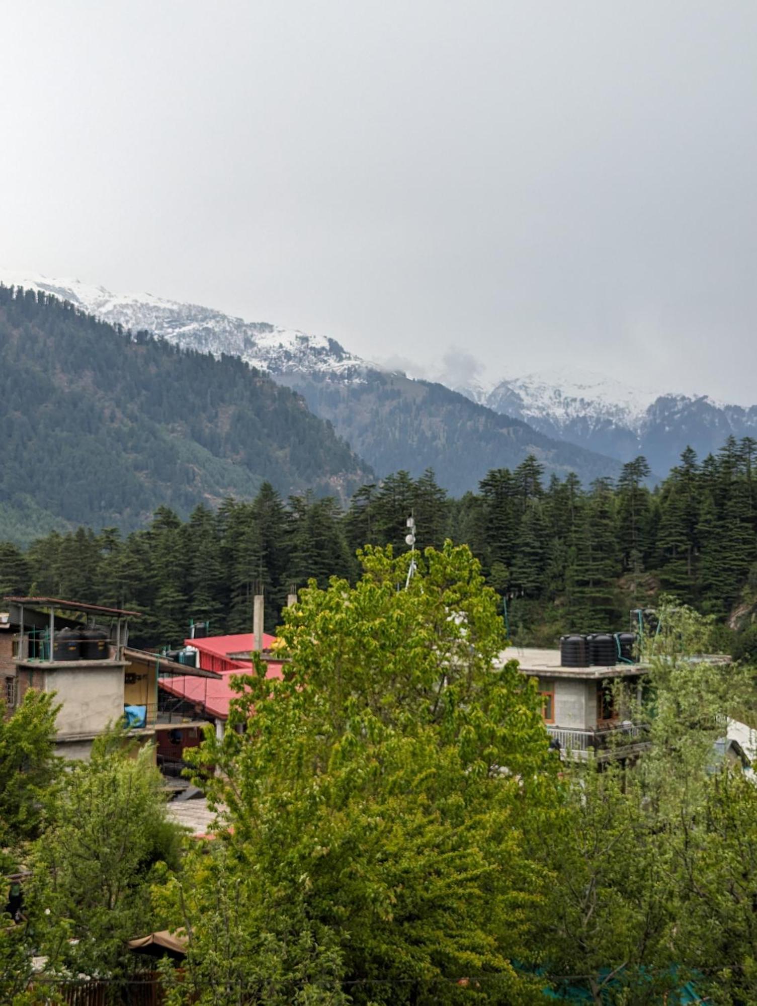 Attic Monkey Cafe & Rooms Manali  Bagian luar foto